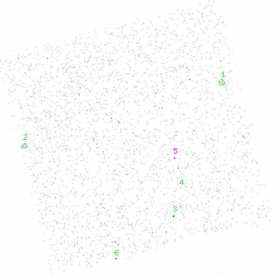 ccd6 smooth0 image