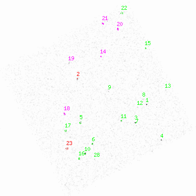 ccd3 smooth0 image