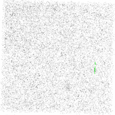 ccd3 smooth0cl image