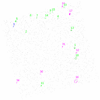 ccd3 fullimage image