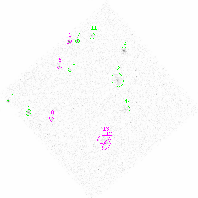 ccd3 smooth0 image