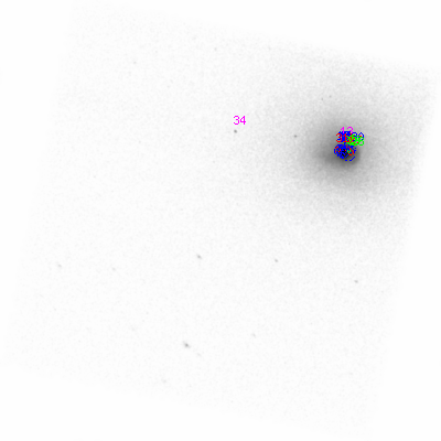 ccd3 smooth0cl image