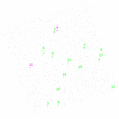 ccd3 fullimage image