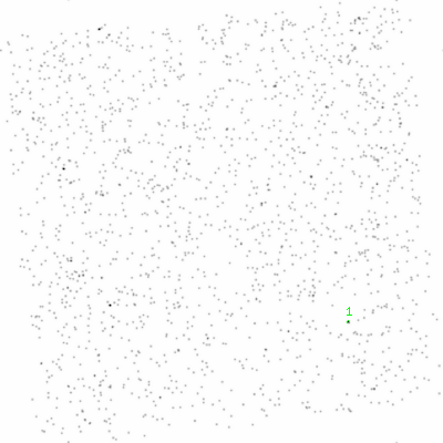 ccd3 smooth0cl image