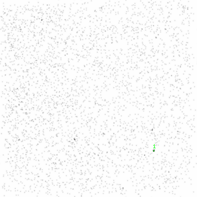 ccd6 smooth0cl image