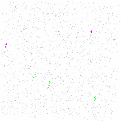 ccd6 smooth0cl image