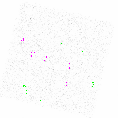 ccd6 smooth0 image