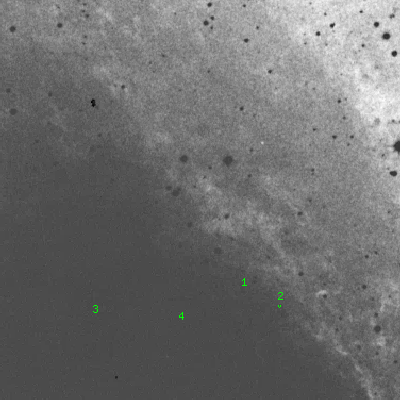 Skyview survey image