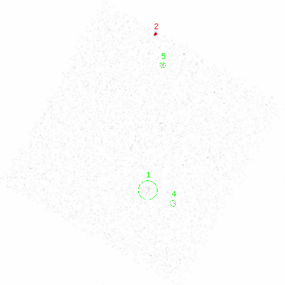 ccd3 smooth0 image