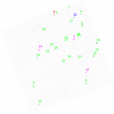 ccd3 smooth0 image