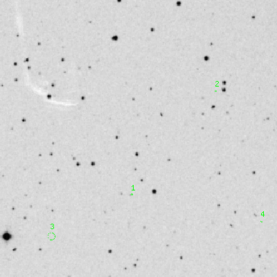 Skyview survey image