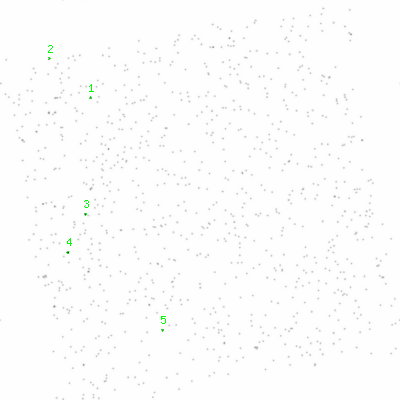 ccd3 smooth0cl image