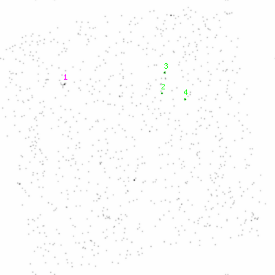 ccd1 smooth0 image