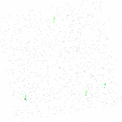 ccd0 smooth0cl image