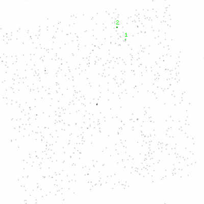 ccd3 smooth0cl image