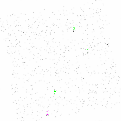 ccd3 smooth0cl image