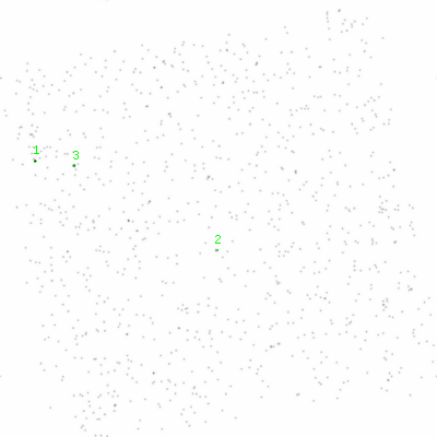 ccd3 smooth0cl image