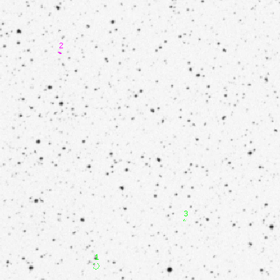 Skyview survey image