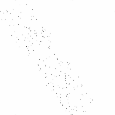 ccd6 smooth0cl image