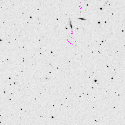 Skyview survey image