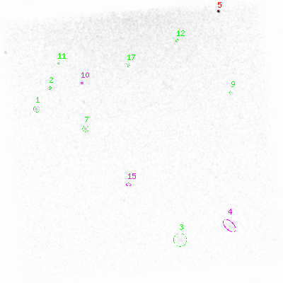 ccd6 smooth0cl image