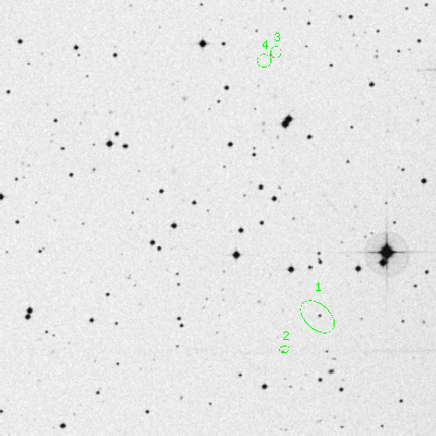 Skyview survey image