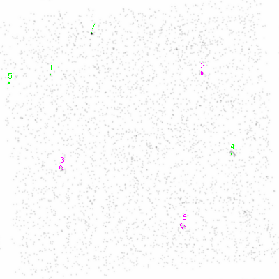 ccd6 smooth0cl image