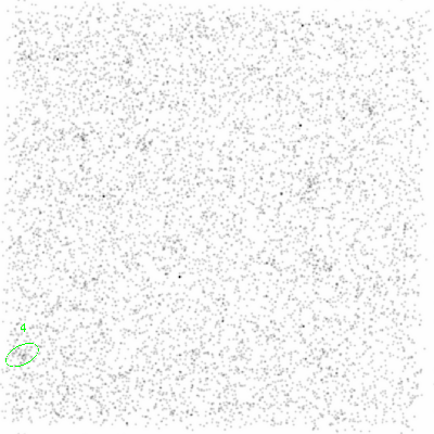 ccd3 smooth0 image