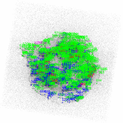 ccd7 fullimage image