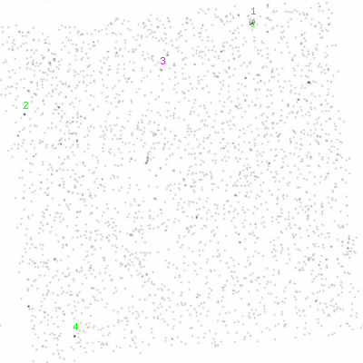 ccd6 smooth0 image