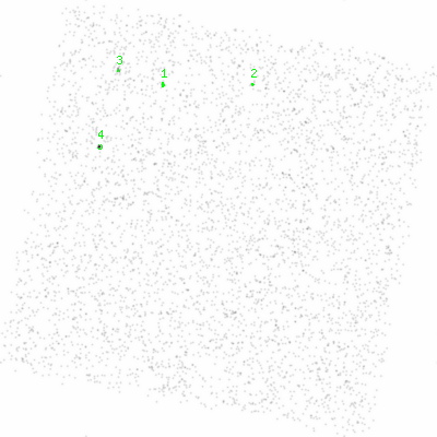 ccd6 smooth0 image