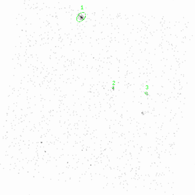 ccd6 smooth0cl image