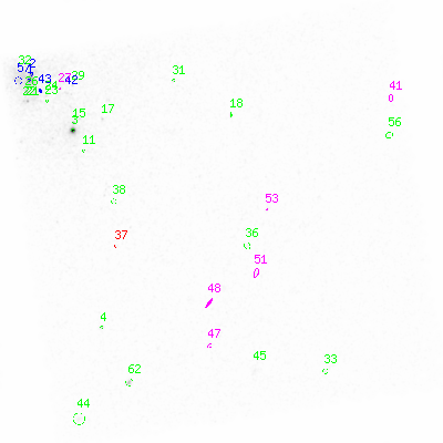 ccd3 smooth0cl image