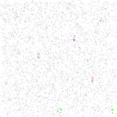 ccd6 smooth0cl image