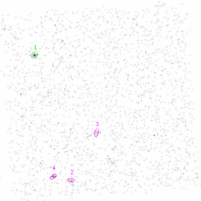 ccd3 smooth0cl image