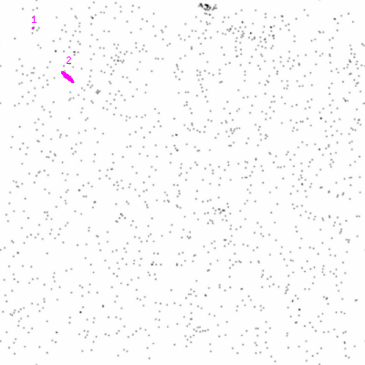 ccd2 smooth0cl image