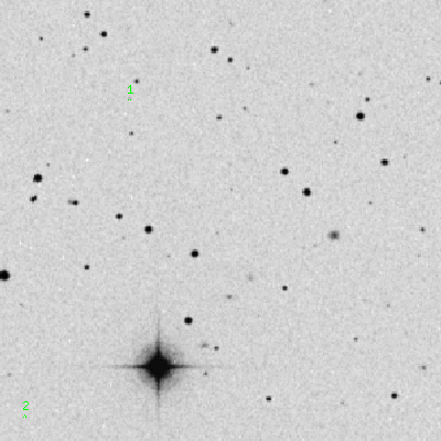 Skyview survey image