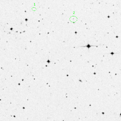 Skyview survey image