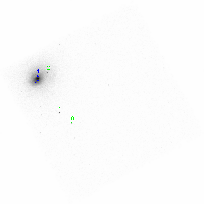 ccd3 smooth0 image