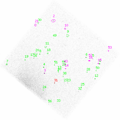 ccd3 smooth0 image