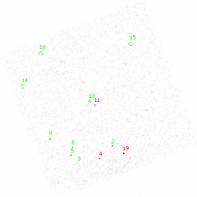 ccd6 smooth0 image