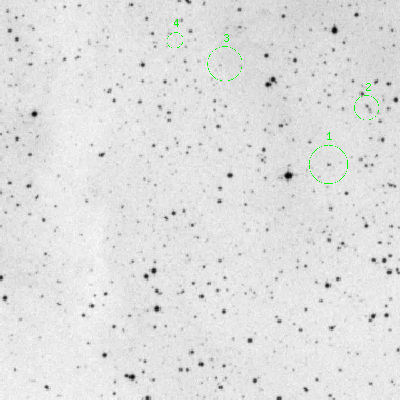 Skyview survey image