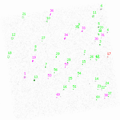 ccd3 smooth0 image