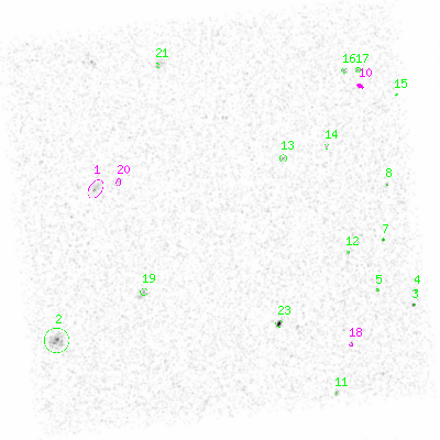 ccd6 smooth0 image