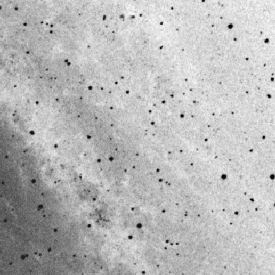 Skyview survey image