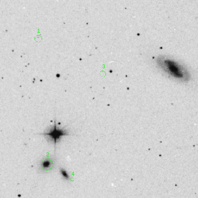 Skyview survey image