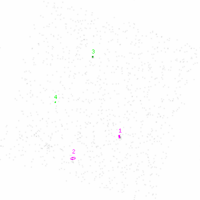 ccd6 smooth0 image