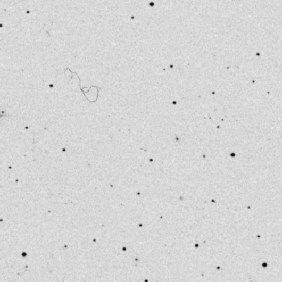 Skyview survey image