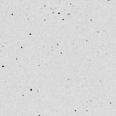 Skyview survey image