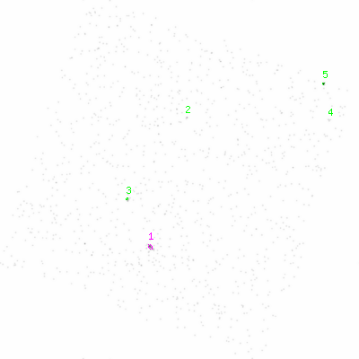 ccd6 smooth0 image